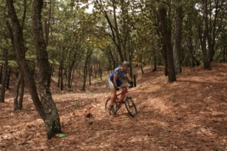 Pedaleando en el bosque